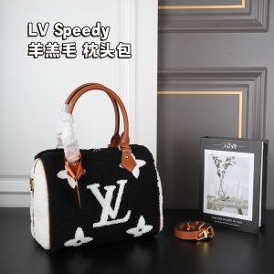 Louis Vuitton Fashion Bag