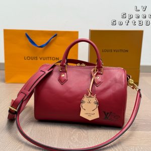 Louis Vuitton Fashion Bag