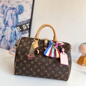 Louis Vuitton Fashion Bag