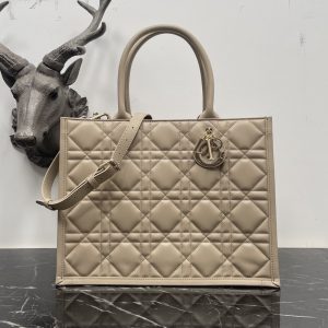 Dior Fashion Bag