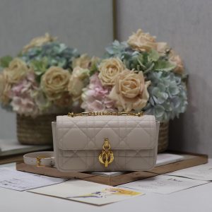 Dior Fashion Bag